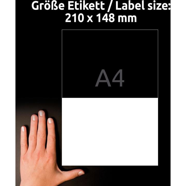 Produktbild Avery Wetterfeste Folien-Etiketten