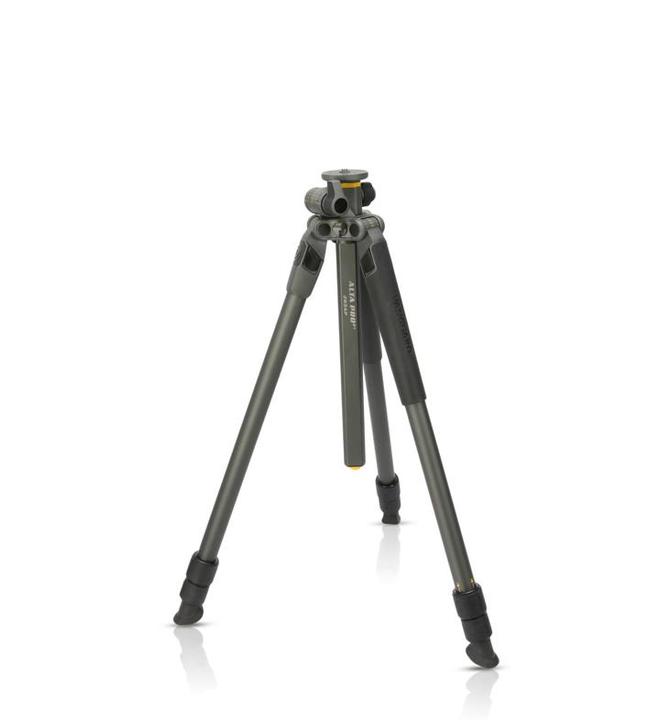 Image du produit Vanguard Alta Pro2+ 263AP (Métal)