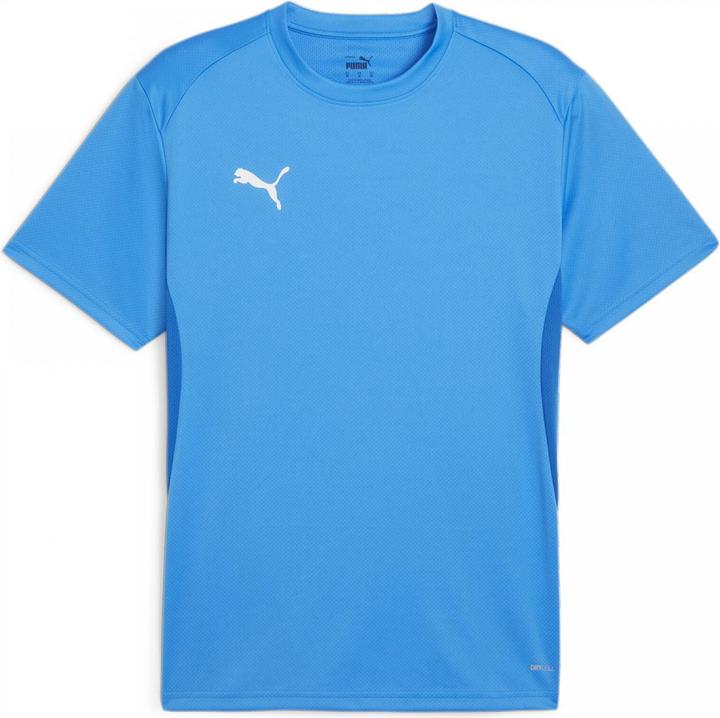 Produktbild Puma teamGOAL Jersey (3XL)