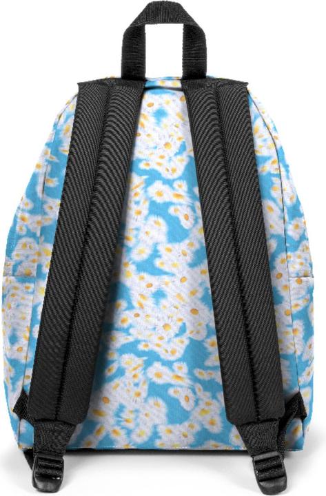Actual product image Eastpak Pak'R (24 l)