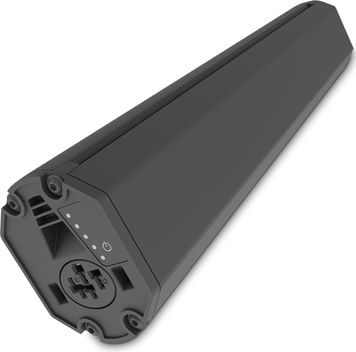 Actual product image E-Bike-Vision Battery Bosch Active (Plus) / Performance (CX) Intube vertical (461 Wh, E-Bike battery)