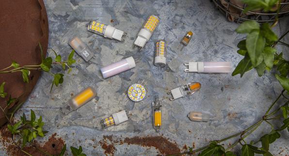 Immagine prodotto Star Trading Filamento (G4, 180 lm, 1 x)