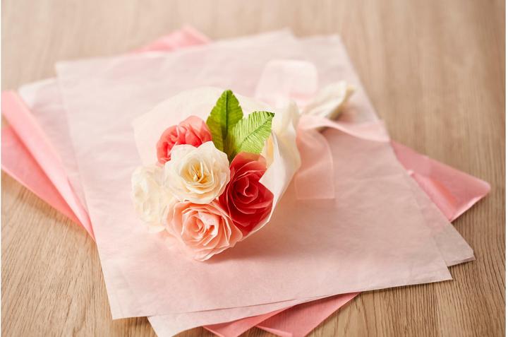 Actual product image Silhouette Cameo 5