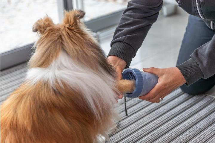 Produktbild Trixie Pfotenreiniger (Hund)