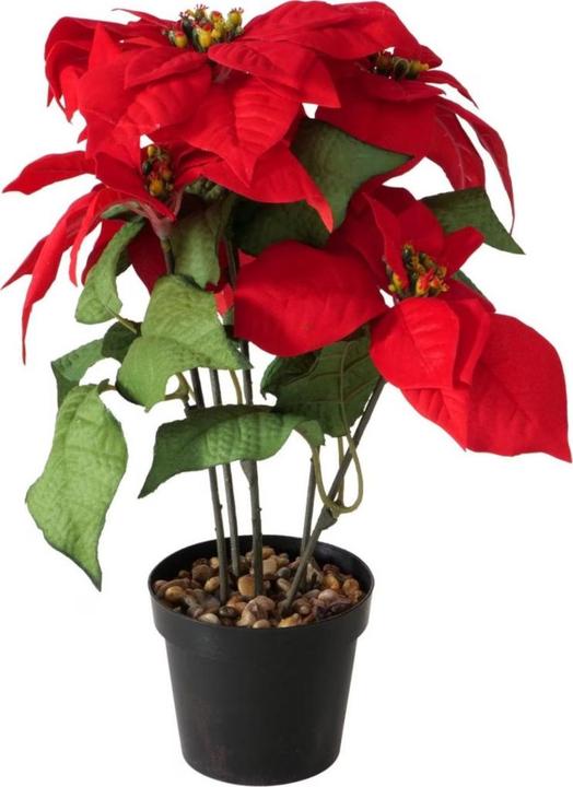 Boltze Home Weihnachtsstern (40 cm)