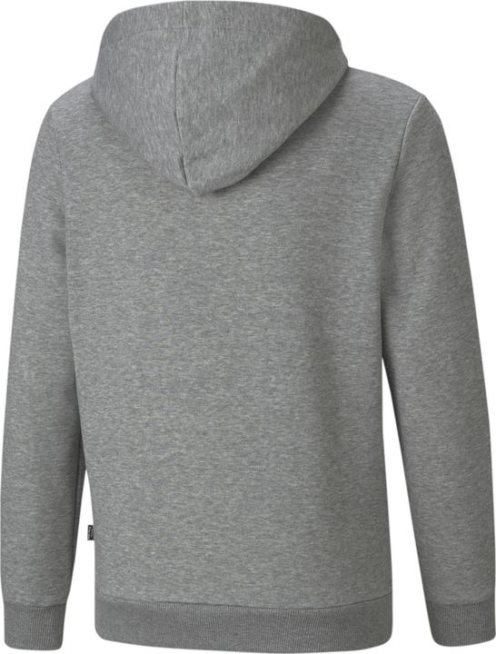 Actual product image Puma ESS+ 2 Col Big Logo Hoodie FL B (140)