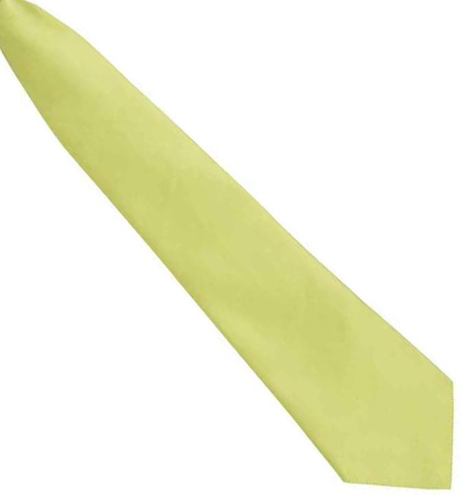 Immagine prodotto Premier Cravatta unisex per adulti con colori moda e tinta unita con clip