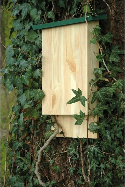 Produktbild Dobar Chiroptera