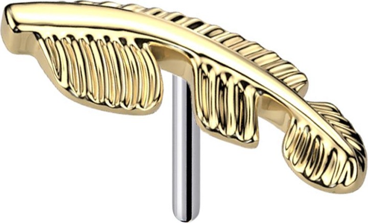 Immagine prodotto Star Piercing Molla senza fili placcata in oro (senza ottone, Titanio G23)