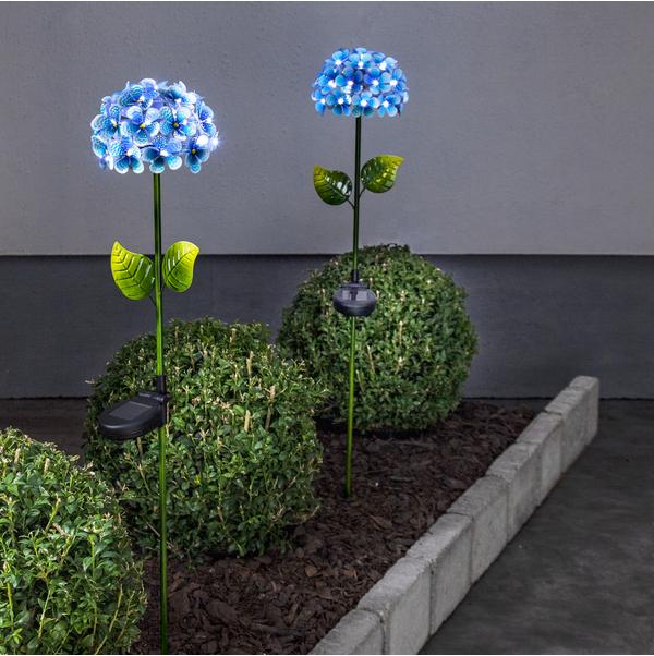 Image du produit Star Trading Décoration intérieure Windo