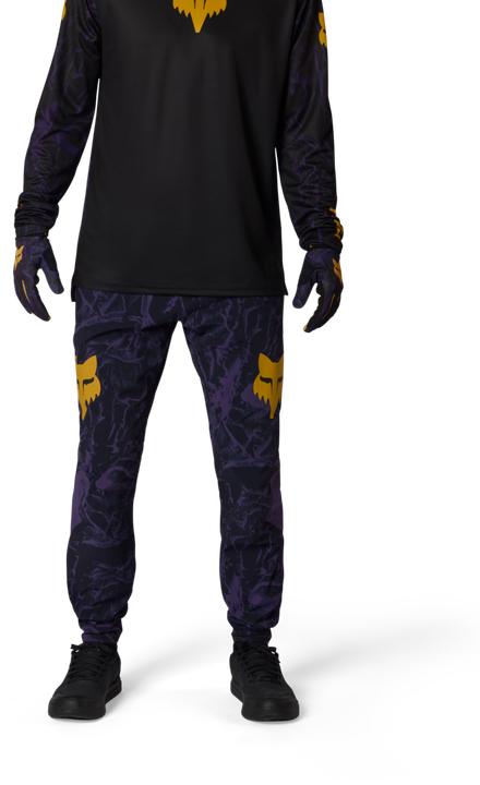 Produktbild Fox Ranger Pant Image Print (32)