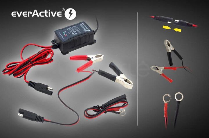 Produktbild Everactive CBC-1 (12V, 6V, 1 A)