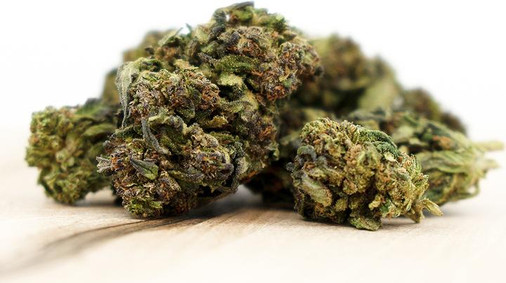 Produktbild Herba di Berna Mango Haze (45 g, Outdoor)