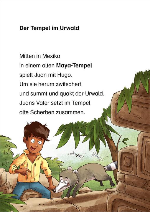 Image du produit Leselöwen 2. Klasse - Abenteuer im Maya-Tempel (Allemand, Anni Möwenthal, Dominik Rupp, Livres de première lecture Loewe, 2021)