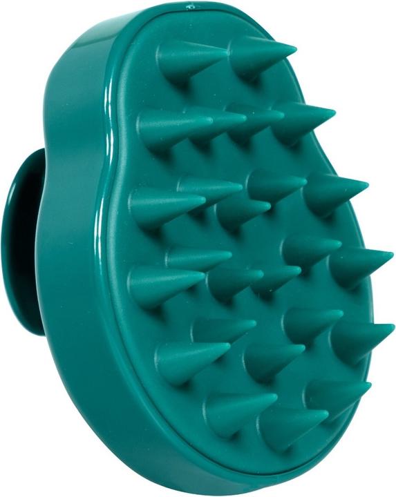 Actual product image Coco & Eve Shampoo Brush
