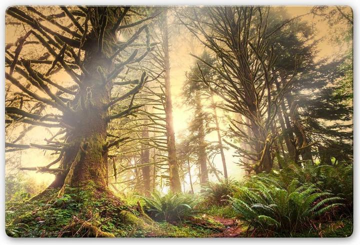 Actual product image Trenddeko Enchanted Forest (60 x 40 cm)