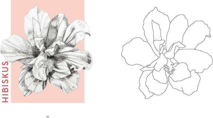 Actual product image Flowers mit Lana: Ausmalen und entspannen mit Lanaarts23