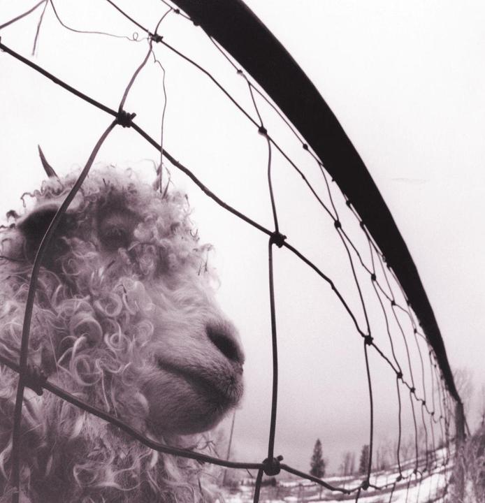 Produktbild vs. Vinyl Edition (Remastered) (Pearl Jam)