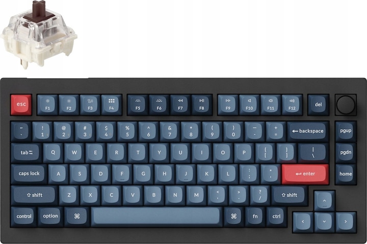 Black, Blue grey