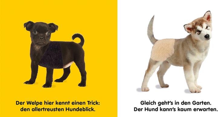 Produktbild Hunde (Deutsch)