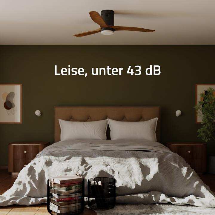 Image du produit Hombli Deckenventilator mit Licht (43 dB)