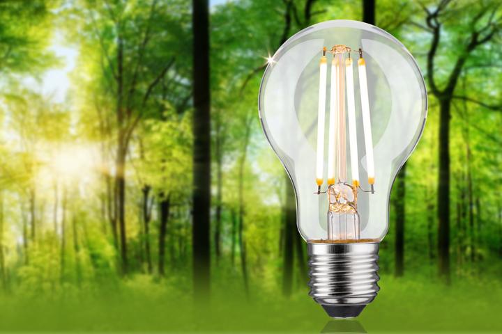 Produktbild Paulmann AGL Eco-Line (E27, 5.70 W, 1055 lm, 1 x, B)