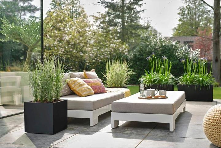 Produktbild Elho Vivo Next Quadrat (30 x 30 x 29 cm)