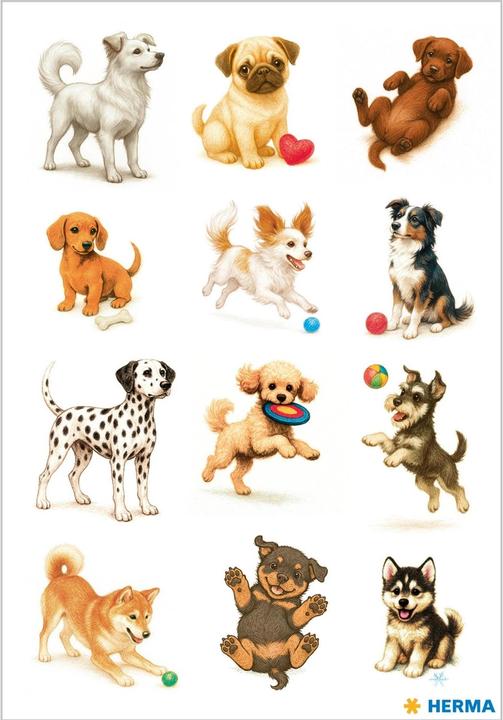 Produktbild HERMA Sticker Hunde (36 Sticker)