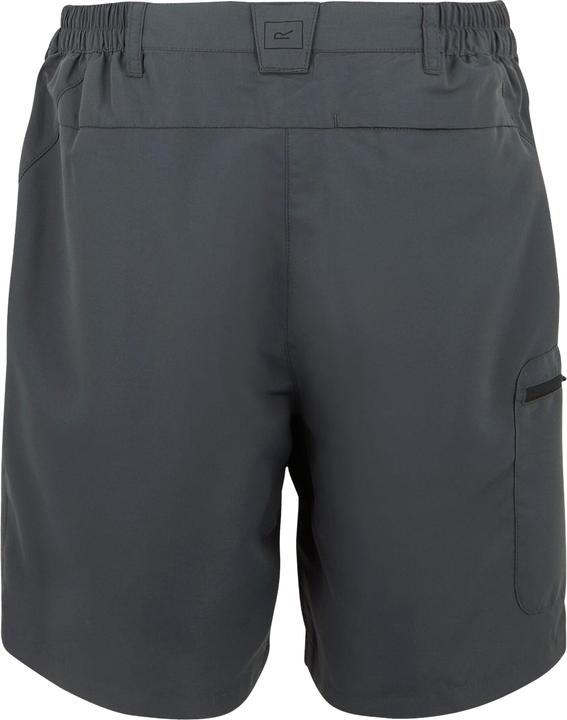 Produktbild Regatta Chaska III Shorts Wandern (46)