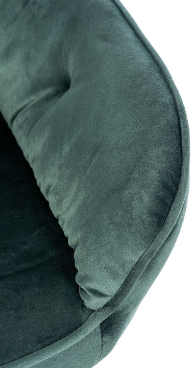 Actual product image CLP Cassis