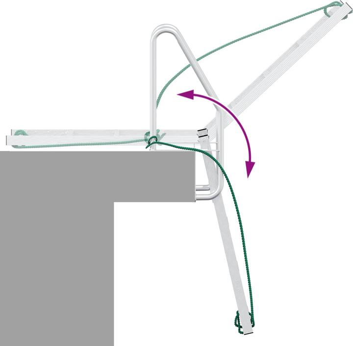 Actual product image vidaXL Dockleiter