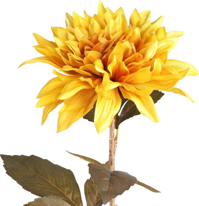 Immagine prodotto EGLO Semporna (660 cm)