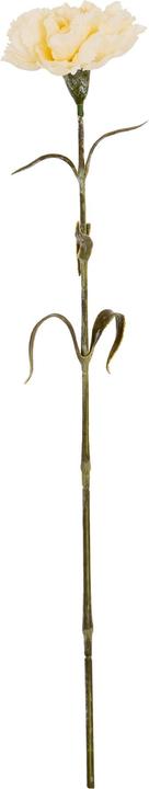 Immagine prodotto Hill Interiors Garofano Fiore Artificiale (56 cm)