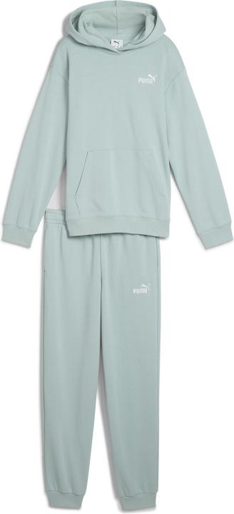 Actual product image Puma Loungewear Suit TR G (164)