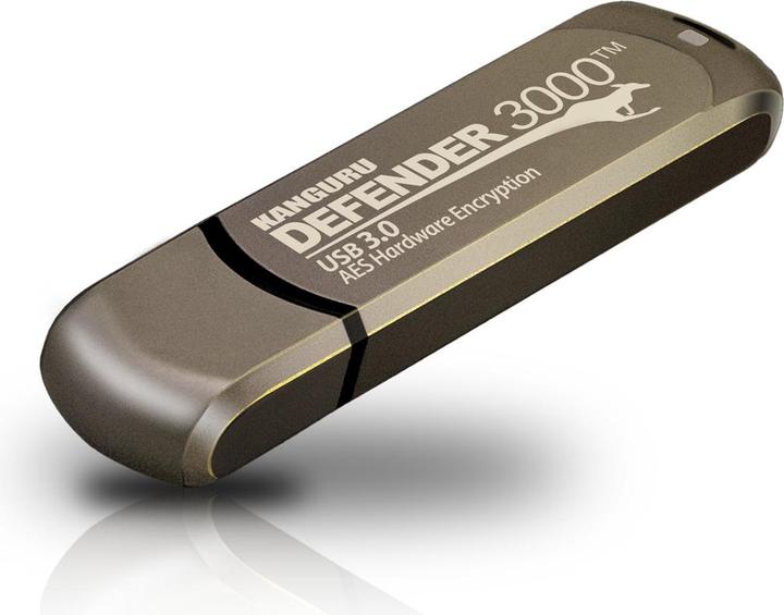 Actual product image Kanguru 256GB Defender 3000 Encrypted USB 3.0 Flash Drive FIPS 140-2 Level - 256 (256 GB, USB-C)