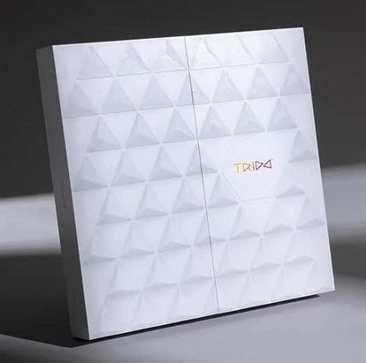 Actual product image Hape Trido Honey large 36pcs