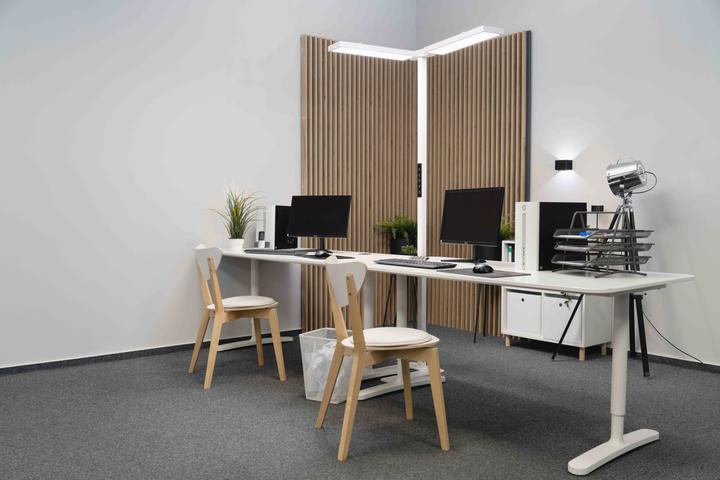 Image du produit Luxula Ligne DUO (8500 lm)