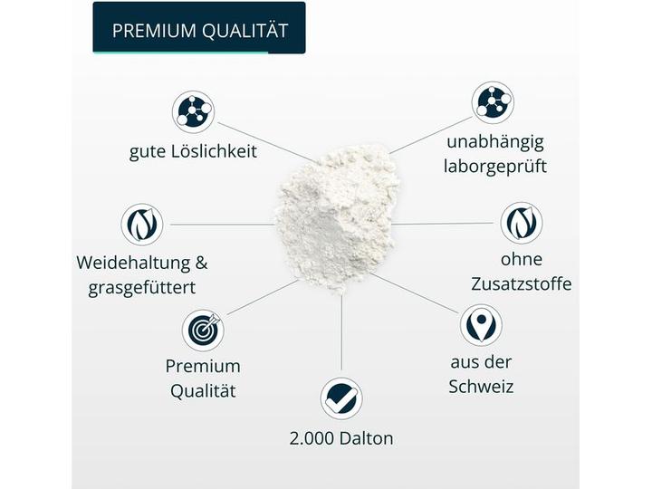 Produktbild Brandl Kollagen (1 Stk., Pulver, 555 g)