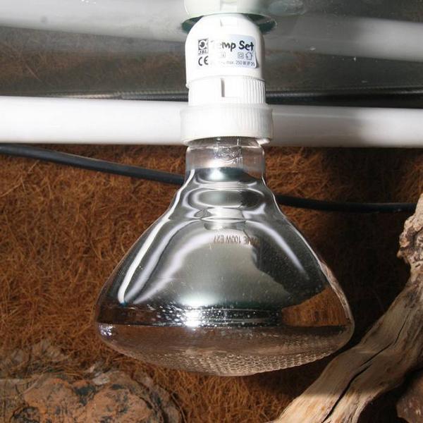 Actual product image JBL Aquaristik und Terraristik Solar UV Spot plus 80 W / E27 (UVB, UVA)