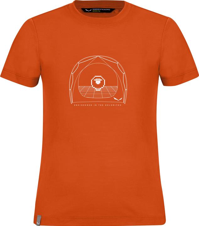 Actual product image Salewa Graphic Dry S/S (116)