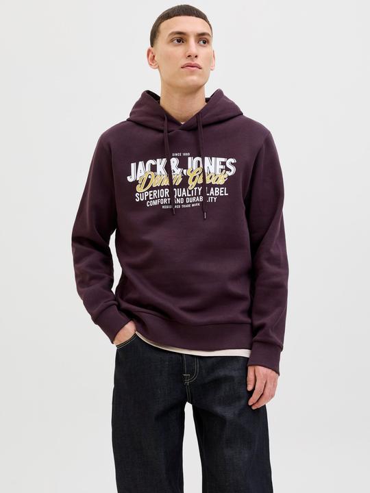 Actual product image Jack & Jones JJELOGO SWEAT HOOD 2 COL 25/26 NOOS (XXL)