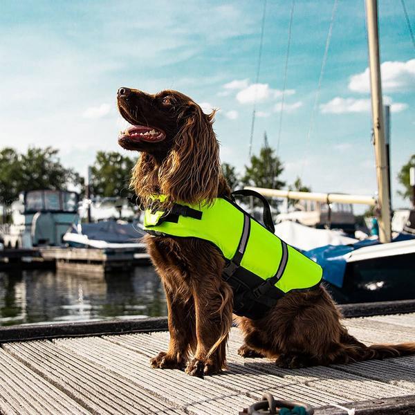 Thumbnail - Nobby Hunde Schwimmhilfe (40, Hundeschwimmweste), Hundebekleidung