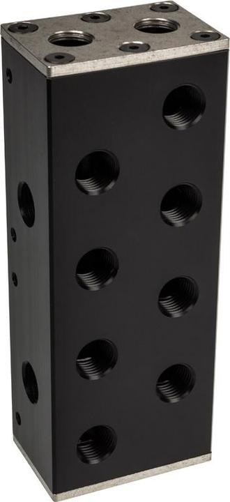 EKWB EK-Pro Manifold 2CPU 2GPU Verteiler - Acetal