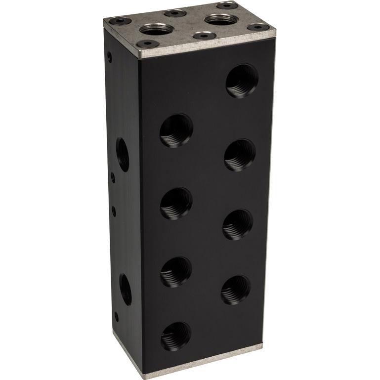EKWB Distributore EK-Pro Manifold 2CPU 2GPU - Acetale, Accessori raccordi di raffreddamento, Nero