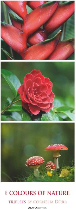 Alpha Edition Colours of Nature: Triplets 2025 Striped Calendar XXL, 25x69cm, Calendar with 3 (25 x 69 cm, German)
