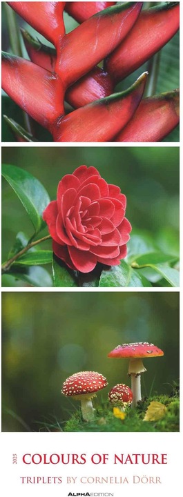 Produktbild Alpha Edition Colours of Nature: Triplets 2025 Streifenkalender XXL, 25x69cm, Kalender mit 3 (25 x 69 cm, Deutsch)
