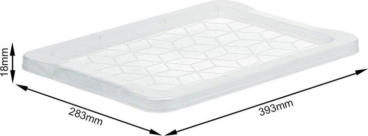 Image du produit Rotho Couvercle pour Evo Easy (59 x 2 x 39.5 cm, 1 l)