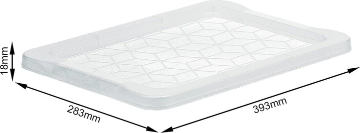 Actual product image Rotho Lid for Evo Easy (59 x 2 x 39.5 cm, 1 l)