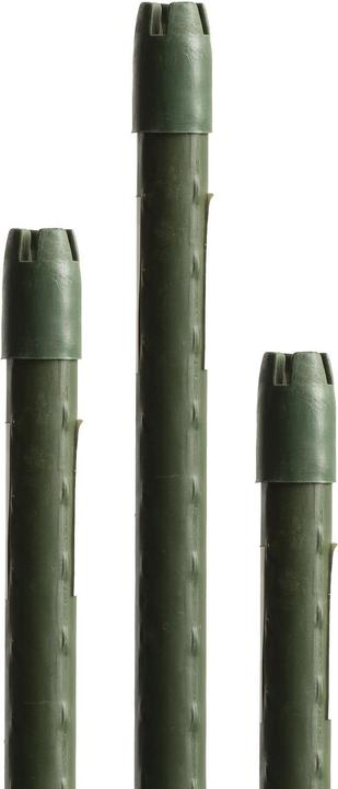 Image du produit Windhager Stahlpflanzenstäbe (150 cm, 1.10 cm)