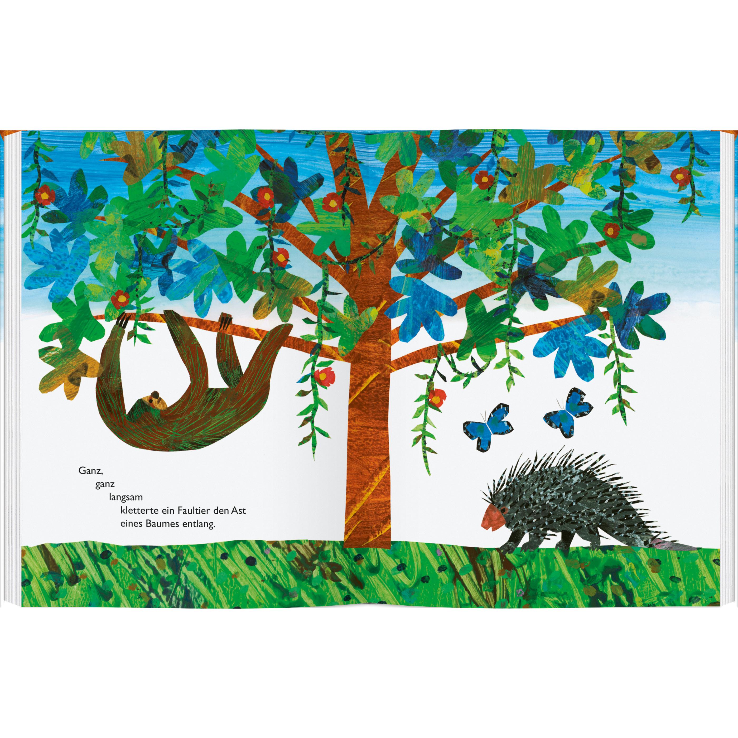 Thumbnail - Ganz, ganz langsam, sagte das Faultier, Kinderbücher von Eric Carle, Jane Goodall